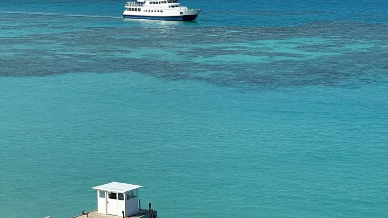 Illustration for: 36-Year-Old Woman Dies After Current Sweeps Her From Two Sons in North Bimini
